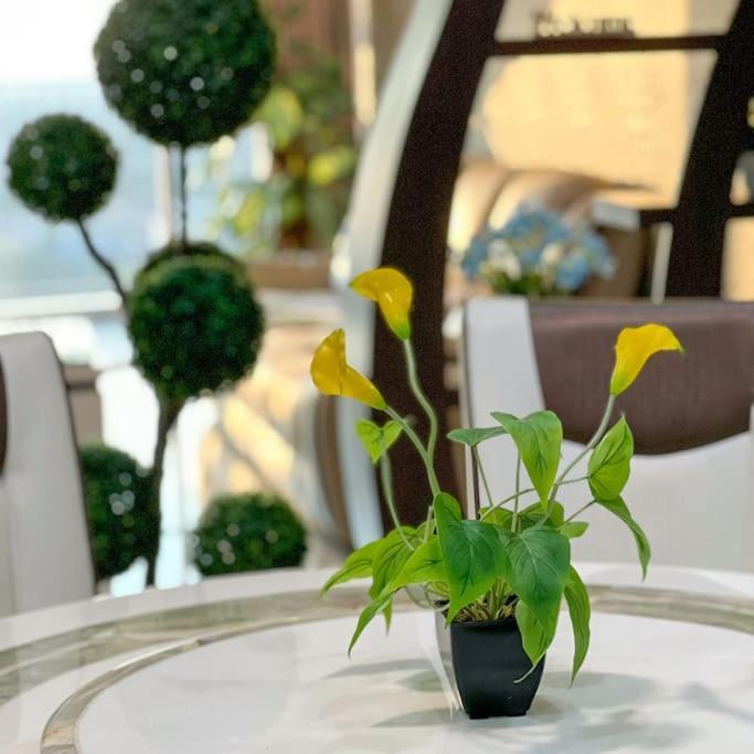 Comfy Near Garden With Sunset View & Swimming Pool *